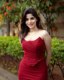 Ahmedabad Escort Services